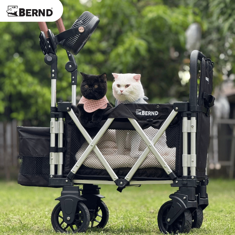 รถเข็นสัตว์เลี้ยง BERND BLOOM PET NANO MK.2 - สีดำ_8